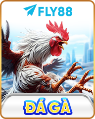 FLY88 ⚜️ Link Truy Cập Trang Chủ FLY88.COM 2026 Không Bị Chặn +88K FAV3