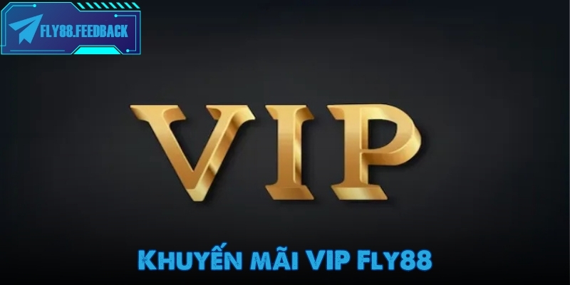 Khuyến mãi Fly88 Khuyến mãi VIP dành cho hội viên lâu năm của nhà cái Fly88