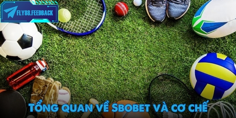 Sbobet - Nền tảng cá cược thể thao trực tuyến uy tín hàng đầu châu Á Giao diện bảng kèo tại Sbobet rõ ràng, hiển thị tỷ lệ theo thời gian thực