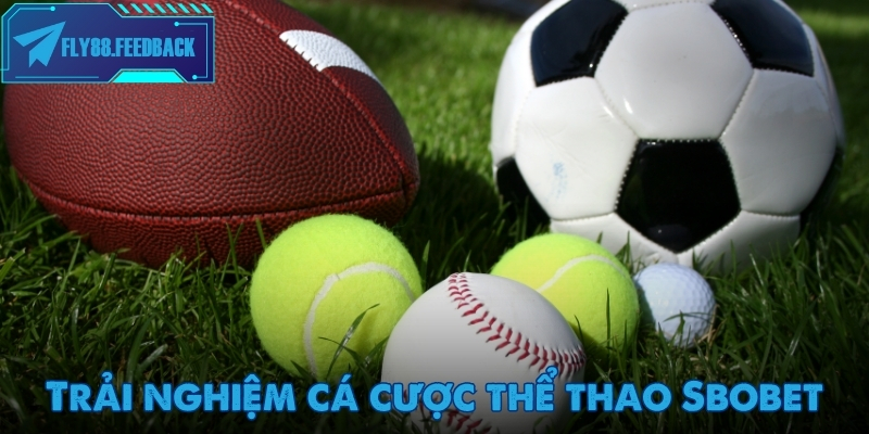 Sbobet - Nền tảng cá cược thể thao trực tuyến uy tín hàng đầu châu Á Hệ thống hỗ trợ 24/7 trên Sbobet đảm bảo trải nghiệm liền mạch và an toàn