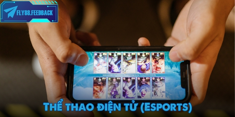 Thể thao Fly88 Tham gia thể thao điện tử (Esports) cùng Fly88
