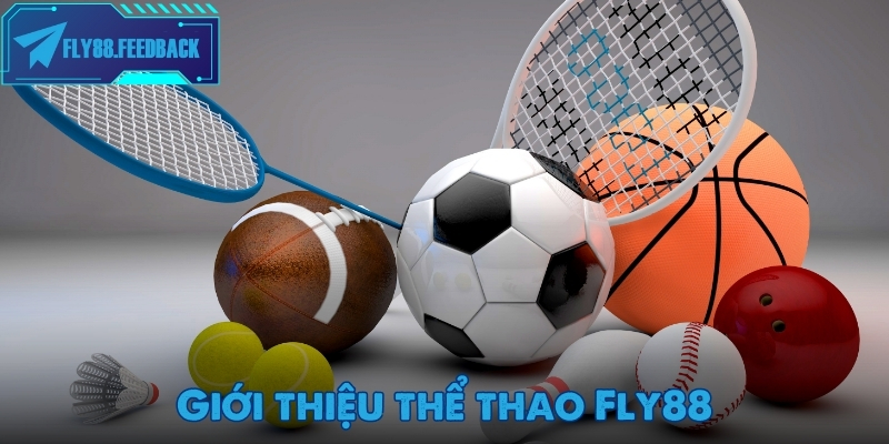 Thể thao Fly88 Giới thiệu sảnh thể thao Fly88 hot nhất 2025